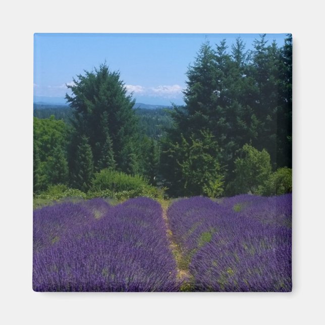 Lavendelfarm Magnet (Vorne)