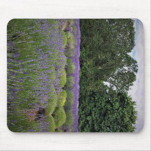 Lavendelfarm Mousepad