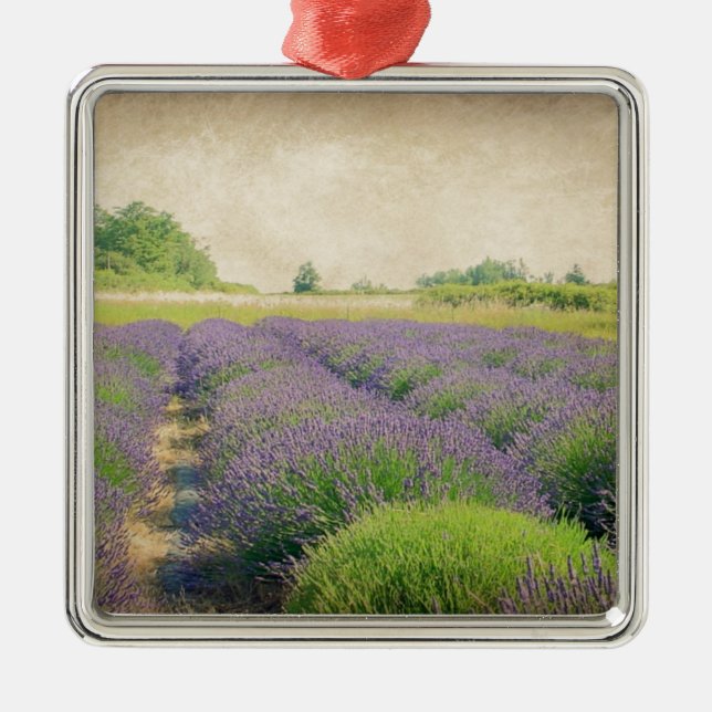 Lavendelfarm - Not Silbernes Ornament (Vorne)