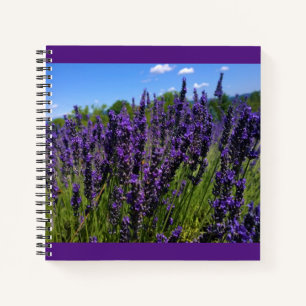 Lavendelfarm Notizbuch