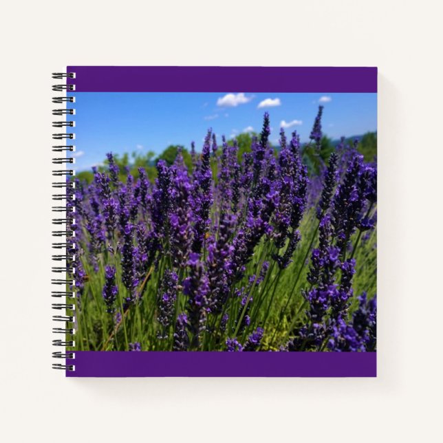 Lavendelfarm Notizbuch (Vorderseite)