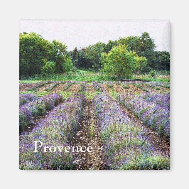 Lavendelfarm - Provence Magnet (Vorne)