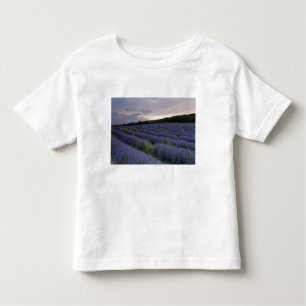 Lavendelfeld am Sonnenuntergang Kleinkind T-shirt