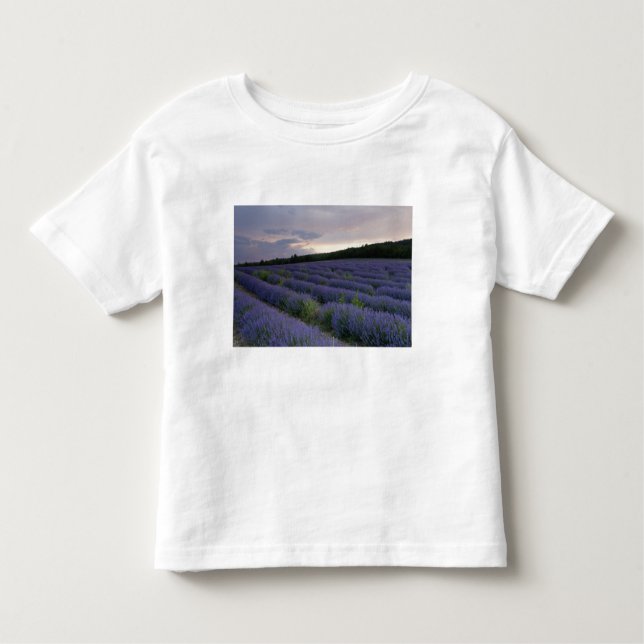 Lavendelfeld am Sonnenuntergang Kleinkind T-shirt (Vorderseite)