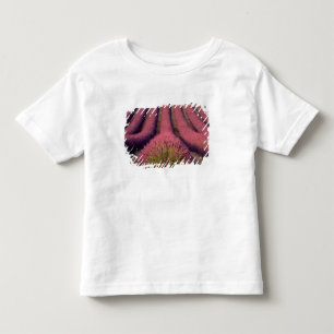Lavendelfeld in der Haute-Provence, Frankreich 2 Kleinkind T-shirt