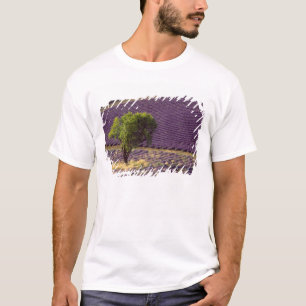 Lavendelfeld in der Hohen Provence, Frankreich T-Shirt
