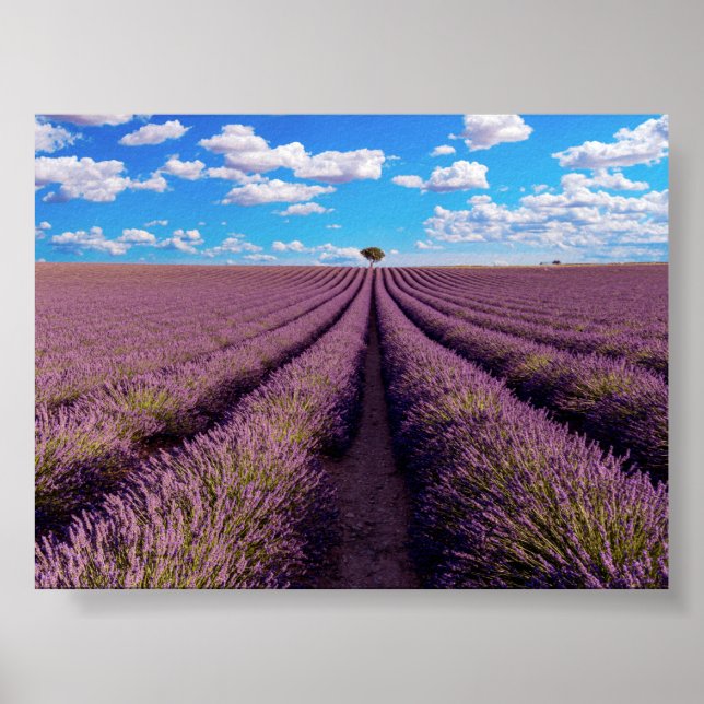 Lavendelfeld in der Provence Poster (Vorne)