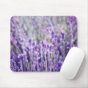 Lavendelfeld Mousepad