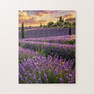 Lavendelfeld Puzzle