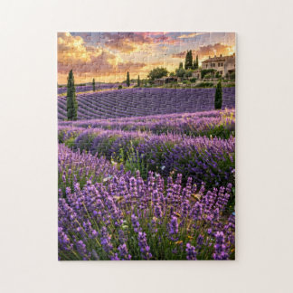 Lavendelfeld Puzzle
