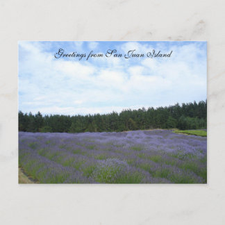 Lavendelfelder Postkarte