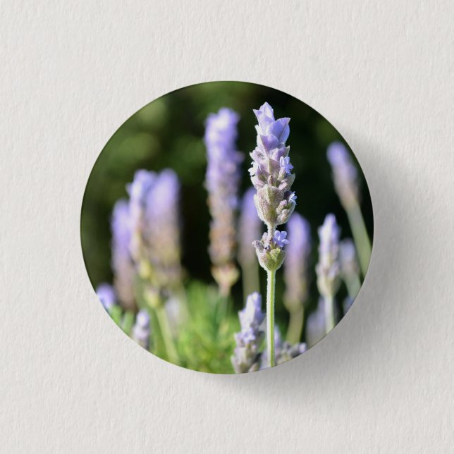 Lavendelknopf / Abzeichen Button (Vorderseite)