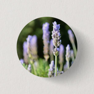 Lavendelknopf / Abzeichen Button
