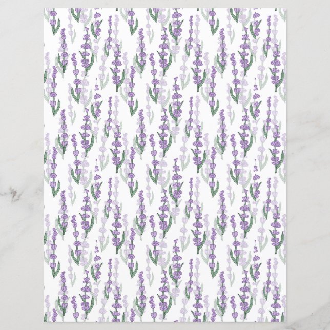 Lavendelprovenz lila Blume (Vorderseite)