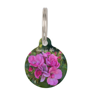 Lavendelrosa Rose Haustiermarke