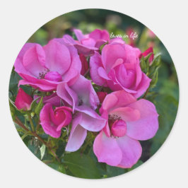 Lavendelrosen Runder Aufkleber