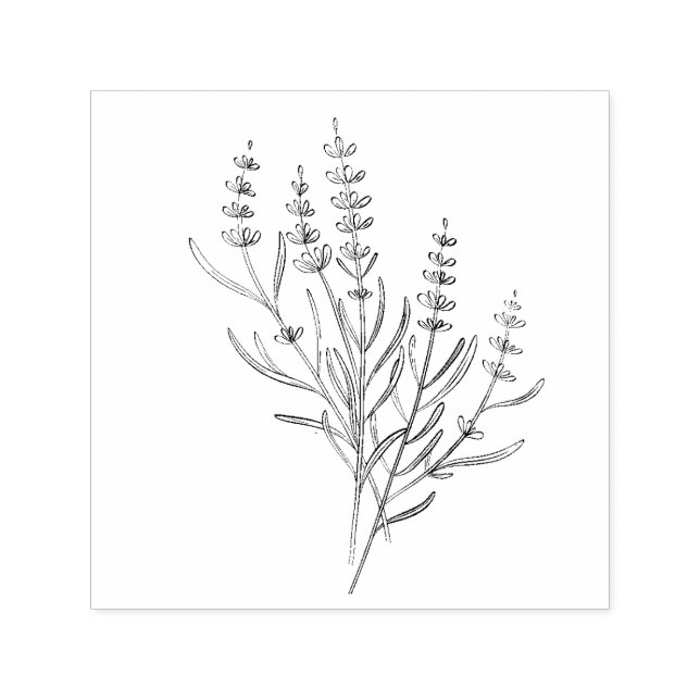 Lavendelzweige Stempel (Design)