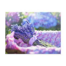 Lavender Basket Lila Frühjahrs-Wiese Postkarte