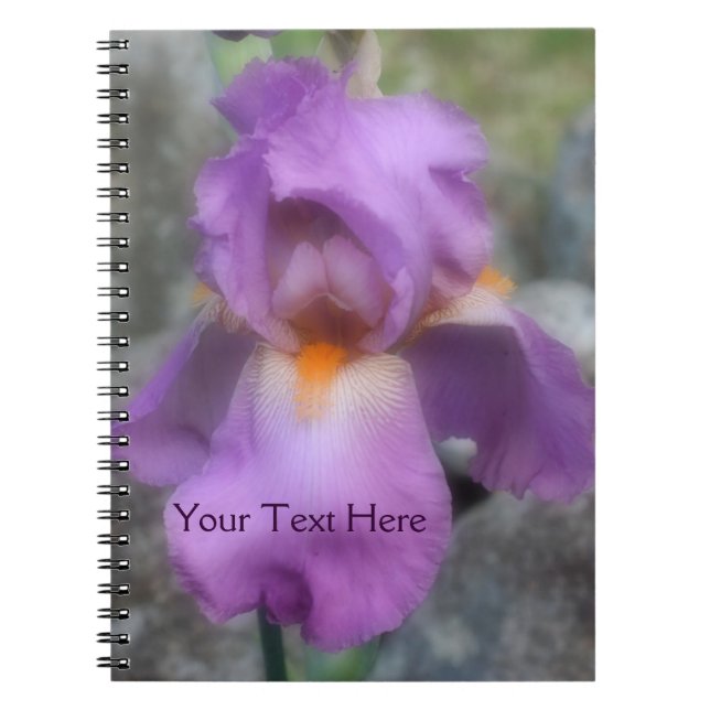 Lavender Bearded Iris Blume Nature Notebook Notizblock (Vorderseite)