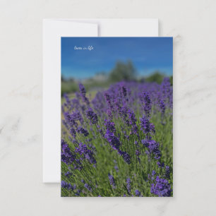 Lavender & Blue Skies Mitteilungskarte