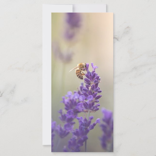 Lavender Blume Honeybee Naturokarte (Vorderseite)