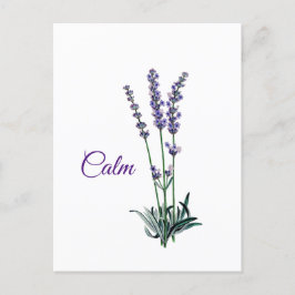 Lavender Blume Ruhe Inspiration Postkarte