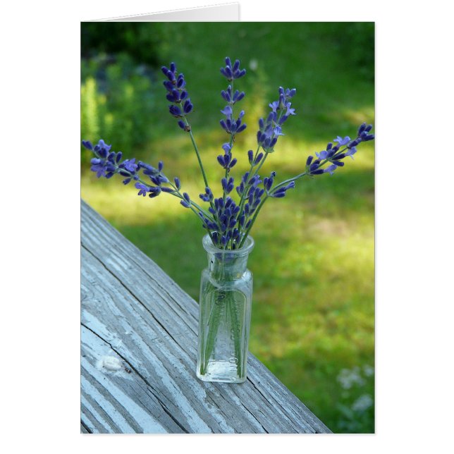 Lavender Bouquet-Karte (Vorne)