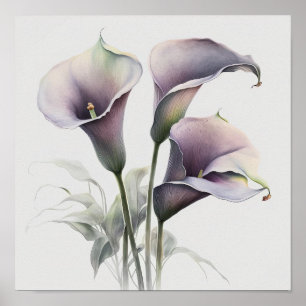 Lavender Calla Lilies Lily Blume Art Printing Post Poster