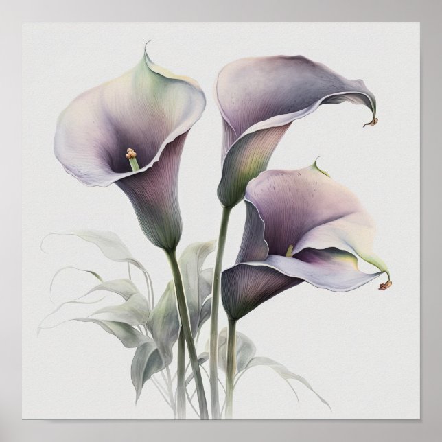 Lavender Calla Lilies Lily Blume Art Printing Post Poster (Vorne)