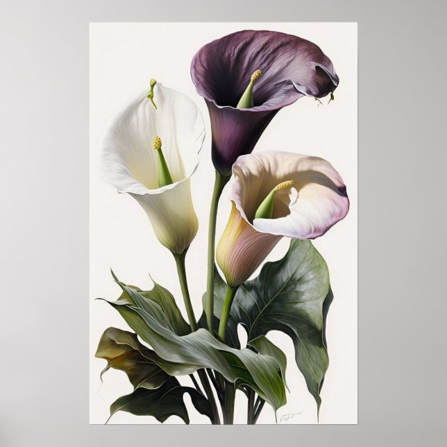 Lavender Calla Lilies Lily Blume Art Printing Post Poster (Vorne)