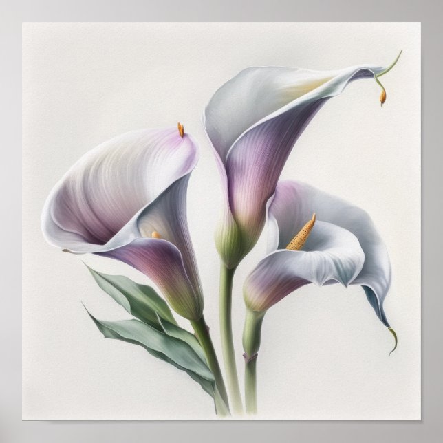 Lavender Calla Lilies Lily Blume Art Printing Post Poster (Vorne)