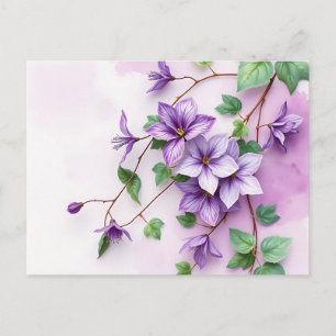 Lavender Clematis Weinroute Mendrisiotto Postkarte
