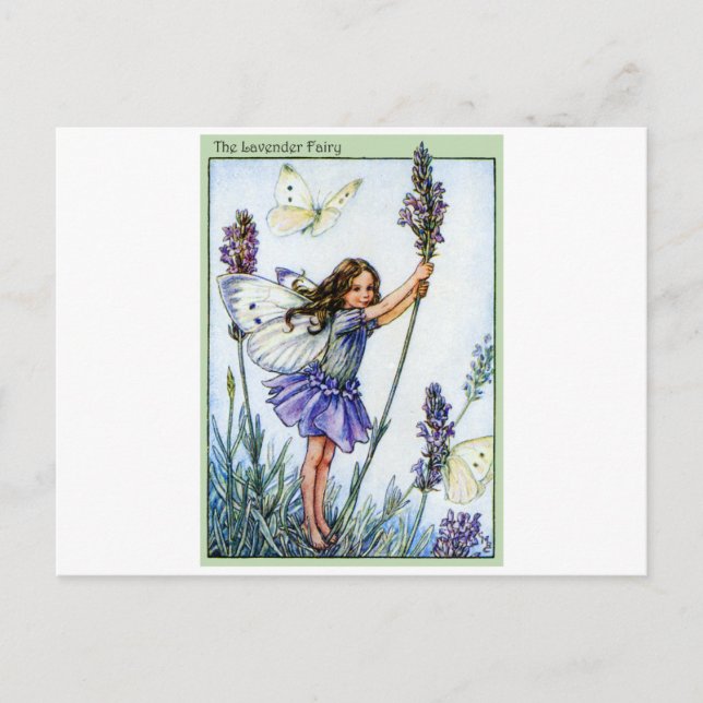 Lavender Fairy Postkarte (Vorderseite)