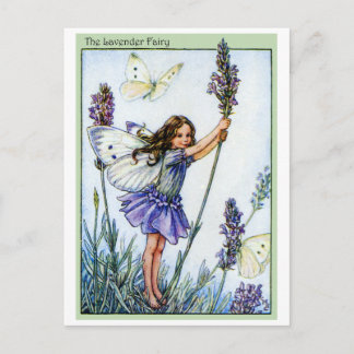 Lavender Fairy Postkarte