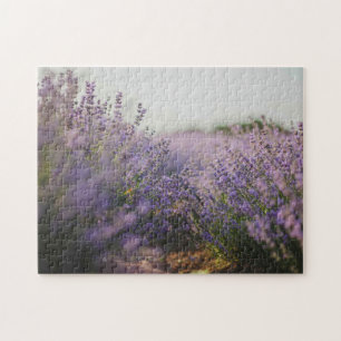 Lavender Field Gebäude Jigsaw Puzzle