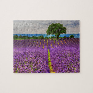 Lavender Field landschaftlich, Frankreich Puzzle