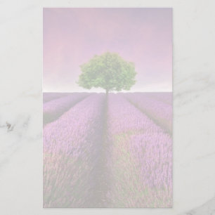 Lavender Field Landsommer Sunset Briefpapier