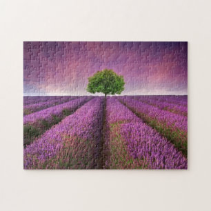 Lavender Field Landsommer Sunset Puzzle