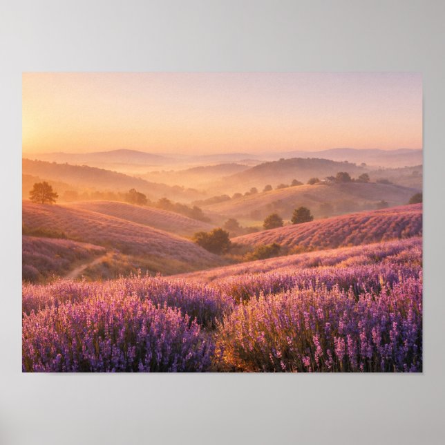 Lavender Field Sunrise Rolling Hills Landscape Poster (Vorne)