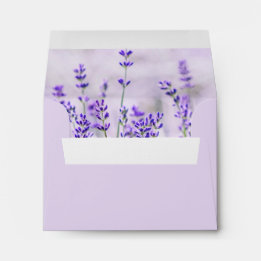Lavender Fields Hochzeits-Notizkarten-Umschlag