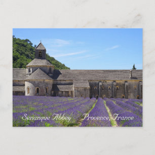 Lavender Fields von Senanque Abbey Postkarte