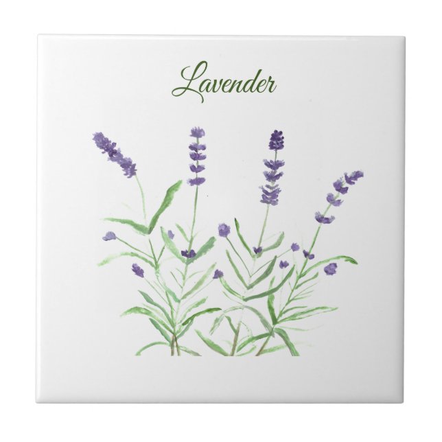 Lavender Herb Grüne Küche Grün Lila Fliese (Vorderseite)