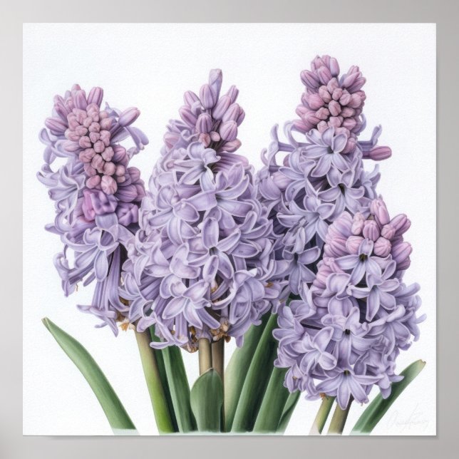 Lavender Hyacinth Blume Art Print Poster (Vorne)