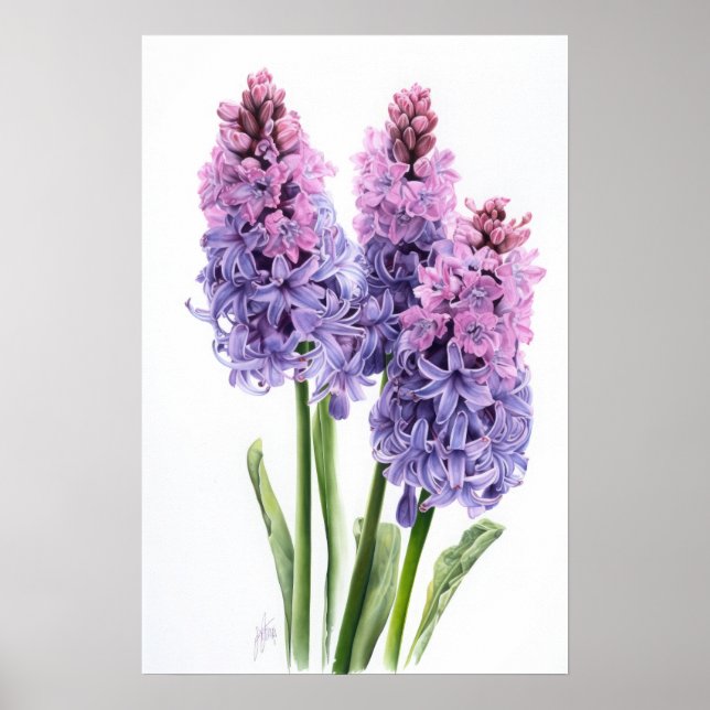 Lavender Hyacinth Blume Art Print Poster (Vorne)