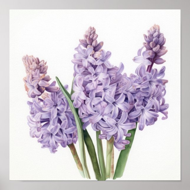 Lavender Hyacinth Blume Art Print Poster (Vorne)