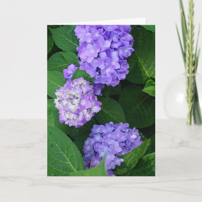Lavender Hydrangea Dankeskarte (Vorderseite)