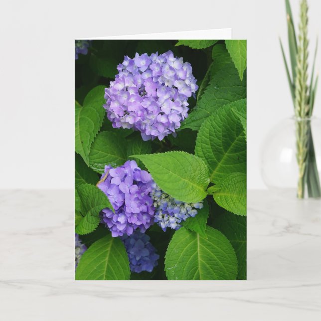 Lavender Hydrangea Dankeskarte (Vorderseite)