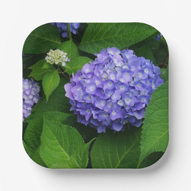 Lavender Hydrangea Pappteller (Vorderseite)