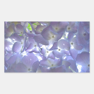 Lavender Hydrangeas Rechteckiger Aufkleber
