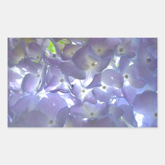 Lavender Hydrangeas Rechteckiger Aufkleber (Vorderseite)